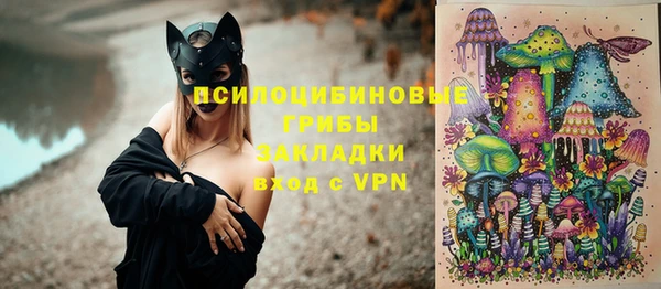 таблы Ельня