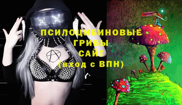 ГАЛЛЮЦИНОГЕННЫЕ ГРИБЫ Заволжск