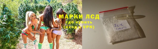 гашик Елизово