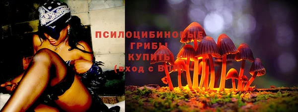 гашик Елизово