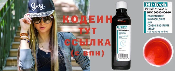 гашик Елизово