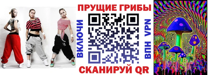 Псилоцибиновые грибы мицелий Рошаль