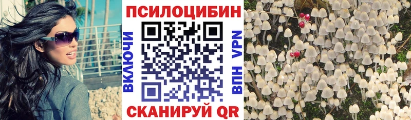 Псилоцибиновые грибы Cubensis  где можно купить наркотик  Рошаль 